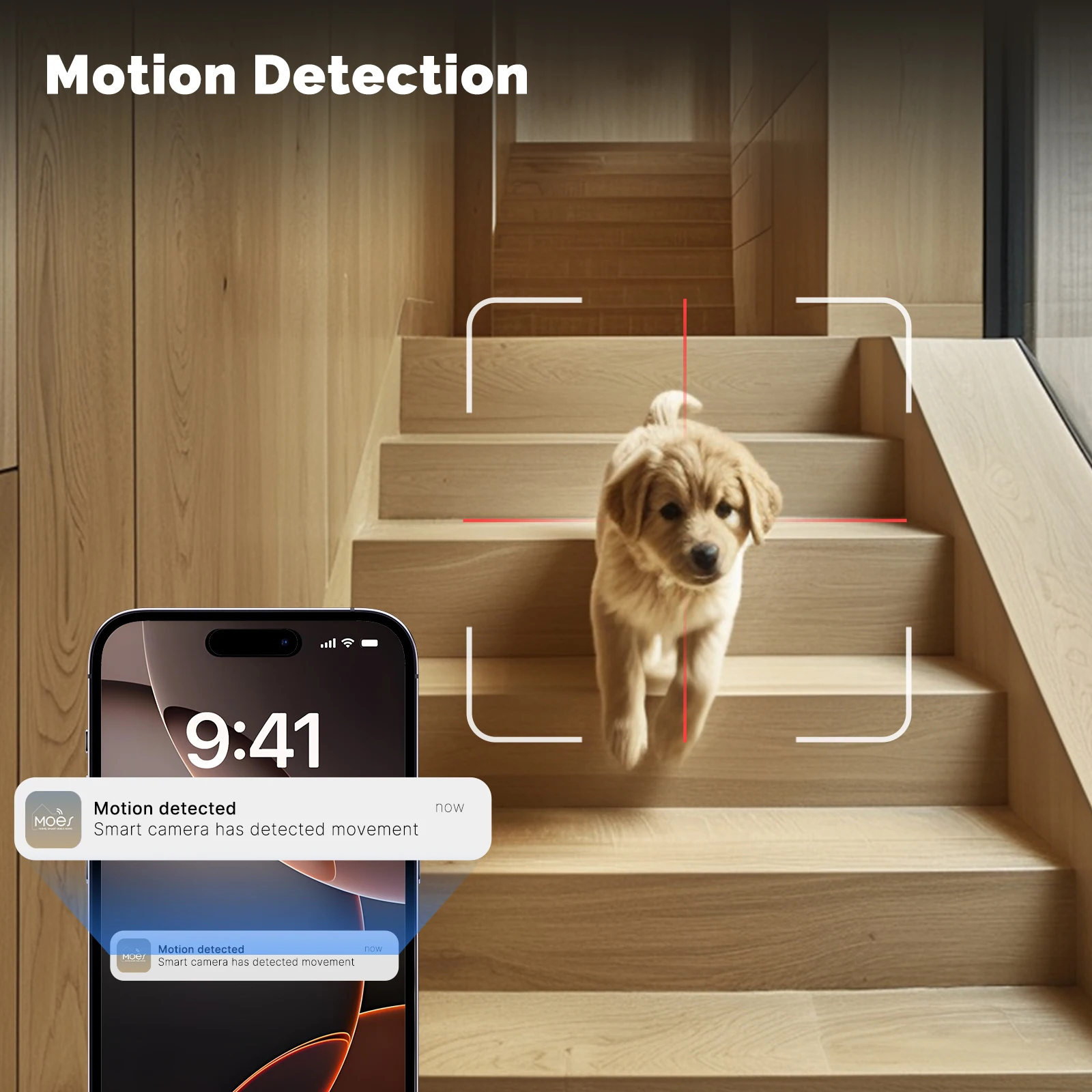 Moes Tuya WiFi Smart Camera pe - Eufy Camera E220 recensione e prezzo